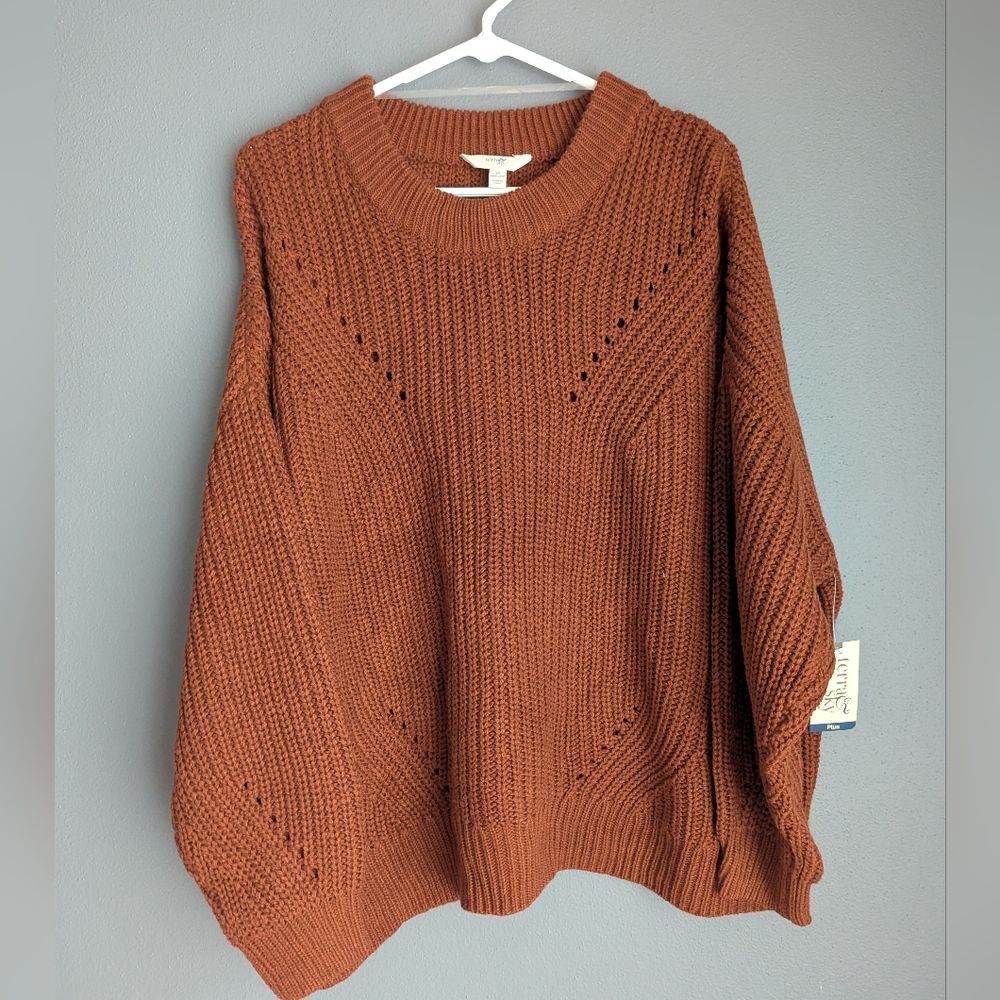 NWT. Terra and Sky Size 1X rust colored crewneck sweater 29x34x27.
